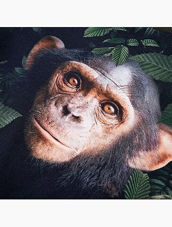 Sweatshirt Pour Enfants Coton - VidaXL