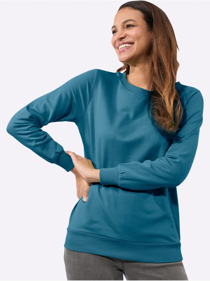 Sweatshirt pur coton - taille standard - witt Bleu topaze - Kiabi