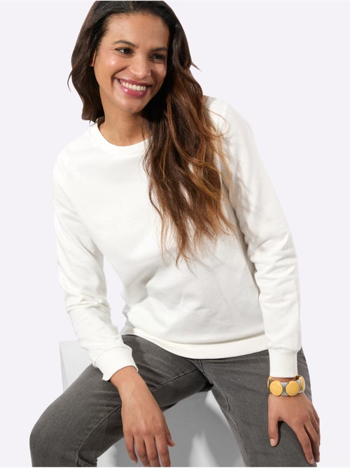 Sweatshirt pur coton - taille standard - witt - Kiabi