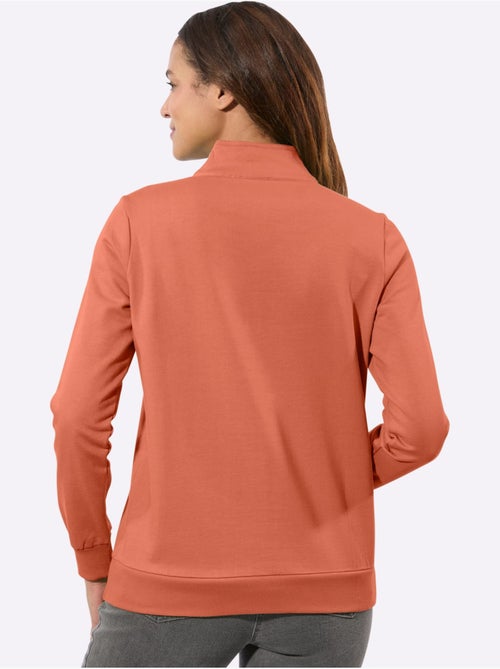 Sweatshirt pur coton - taille standard - witt - Kiabi Sweatshirt pur coton - taille standard - witt - Kiabi