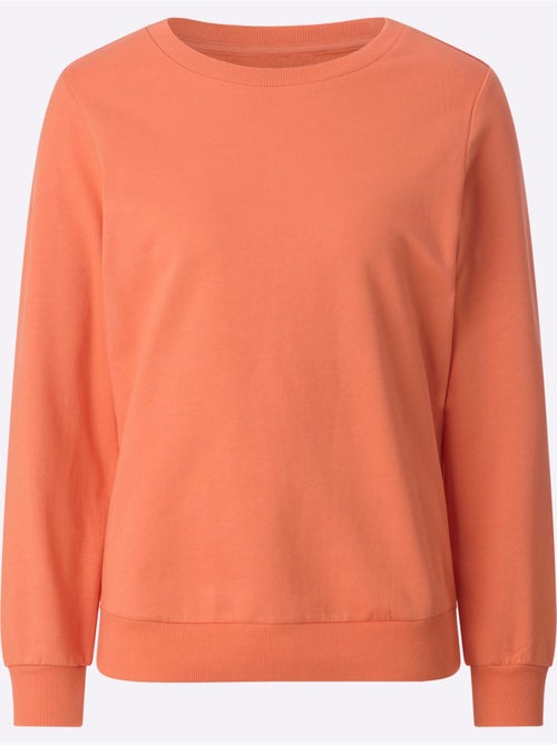 Sweatshirt pur coton - taille standard - witt - Kiabi