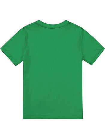 T-shirt - hulk (hulk)
