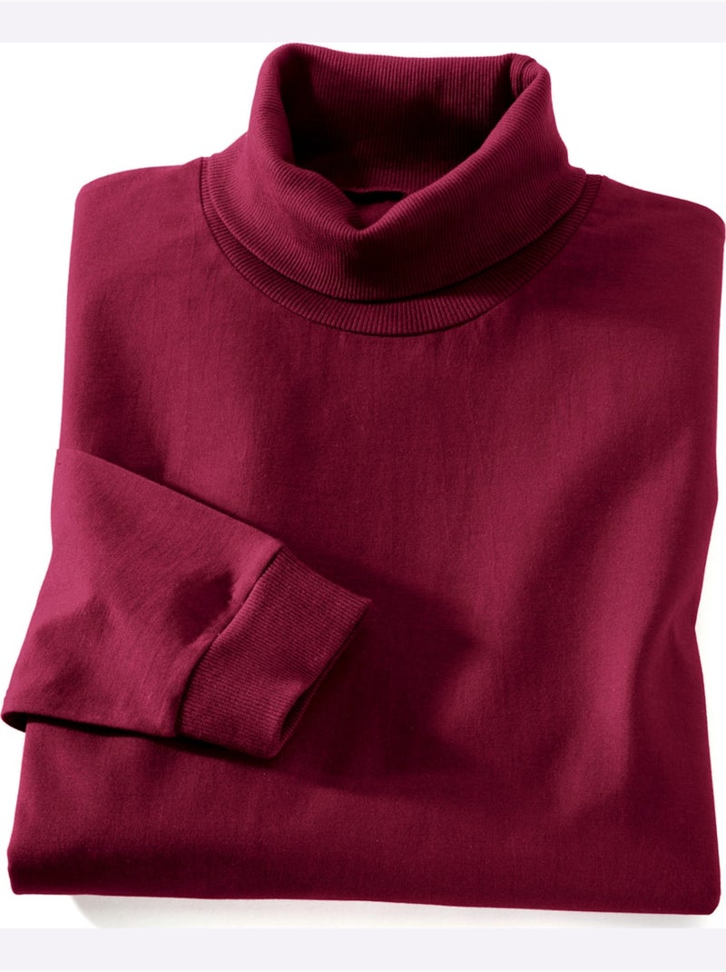 T-shirt à col roulé jersey fin - taille standard - moda vilona Bordeaux - Kiabi