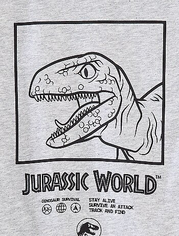 T-shirt à manches courtes 'Jurassic World'