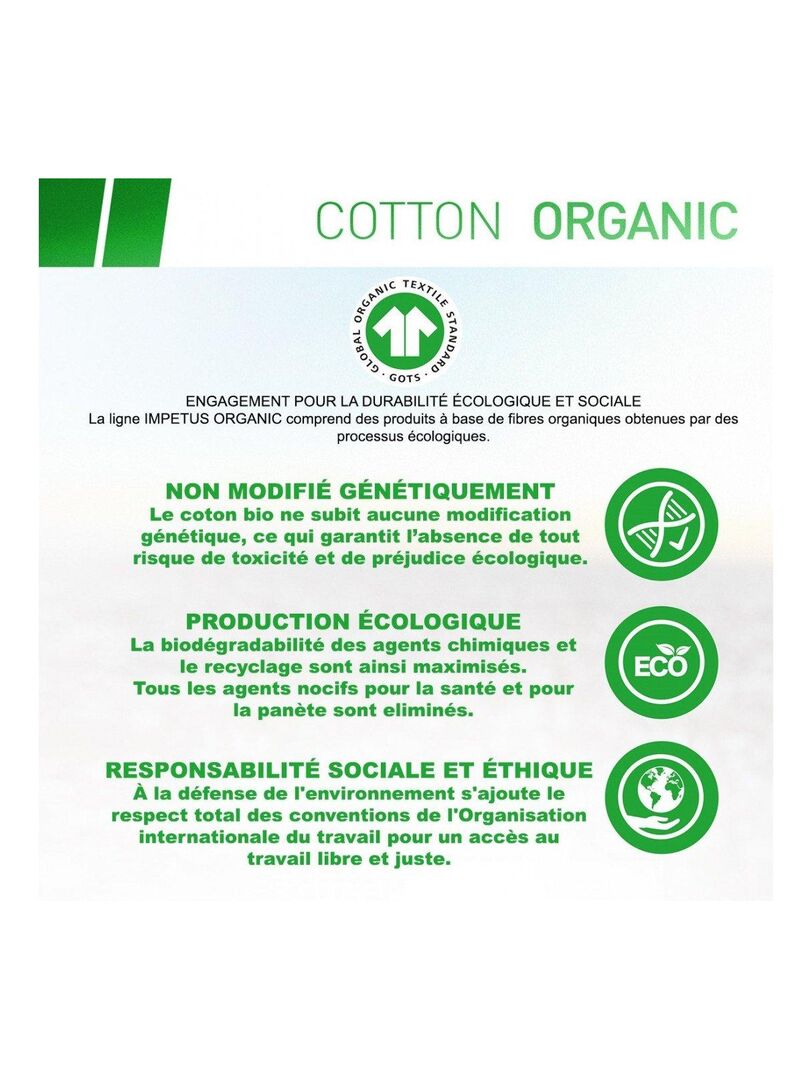 T-shirt bio organique Oeko-Tex col V Cotton Organic Gris - Kiabi