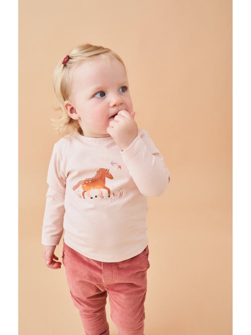 T-shirt cheval, Jersey Noukie's - Kiabi