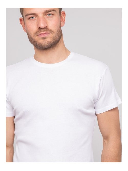 T shirt col rond coton cottelé WALTER - Kiabi