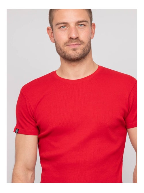 T shirt col rond coton cottelé WALTER - Kiabi