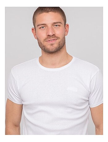 T shirt col rond coton WARLOF