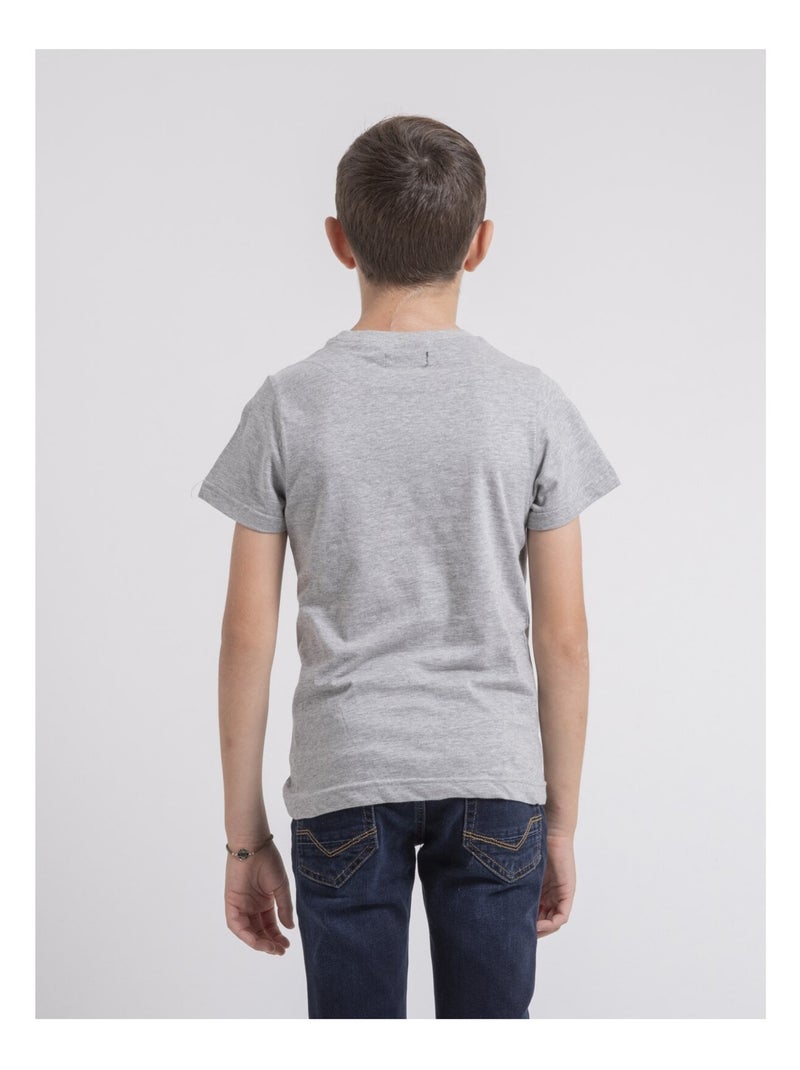 T-shirt col rond pur coton JARDIN garçon Gris - Kiabi