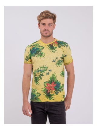 T-shirt col rond pur coton NABANE