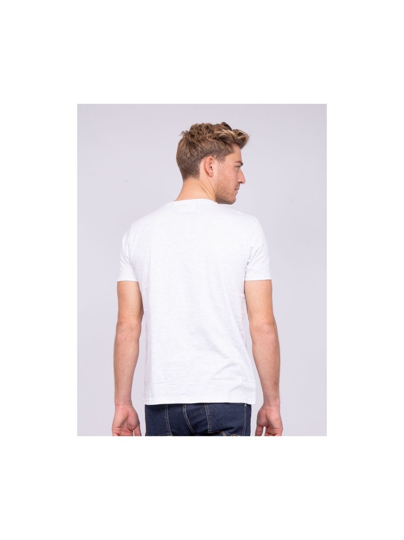 T-shirt col rond pur coton NERLIN Gris - Kiabi