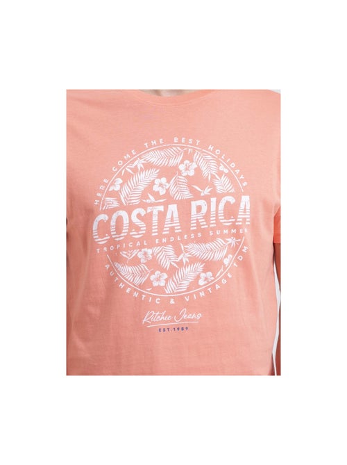 T-shirt col rond pur coton NEVOLTA - Kiabi