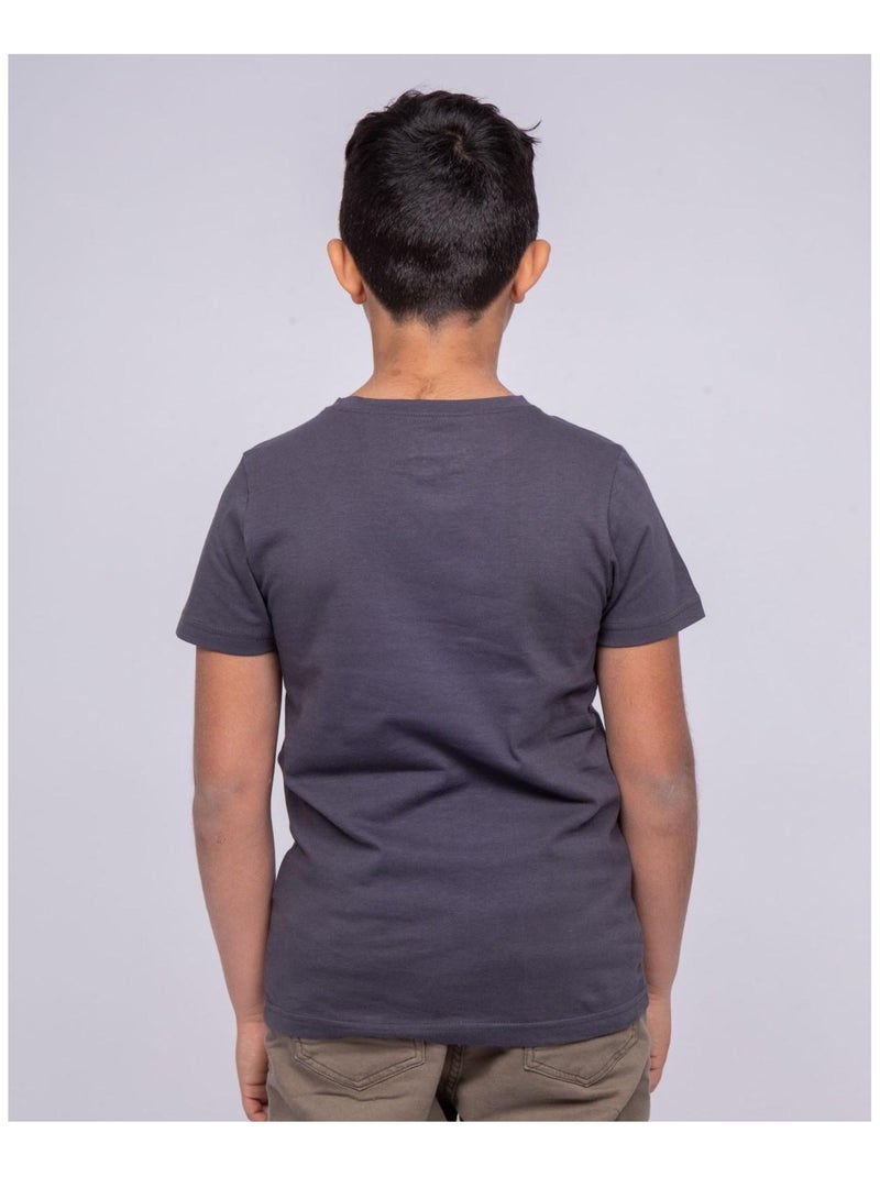 T-shirt col rond pur coton NITALI garçon Gris - Kiabi