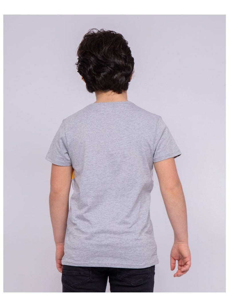 T-shirt col rond pur coton NOWARE garçon Gris chiné - Kiabi