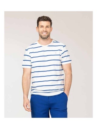 T-shirt col rond rayé bleu vert Homme