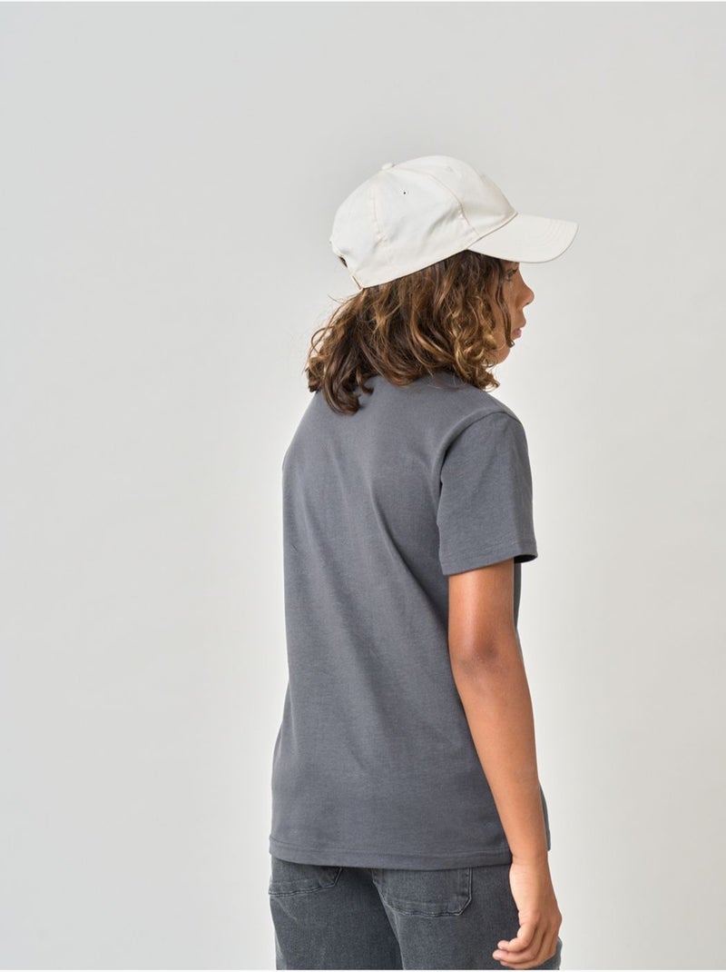 T-shirt confort garçon en coton imprimé voiture & chiens 'deeluxe' Gris foncé - Kiabi