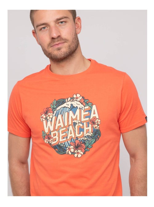 T-shirt coton motifs NEWILMO - Kiabi