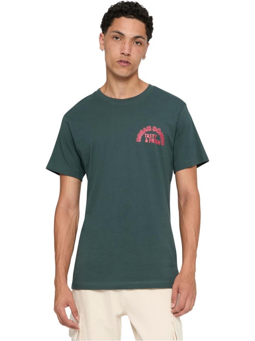 T-shirt dream kabab - mister tee - Kiabi