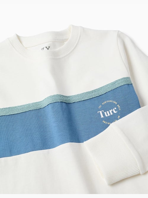 T-shirt en coton à manches longues et imprimé - Kiabi