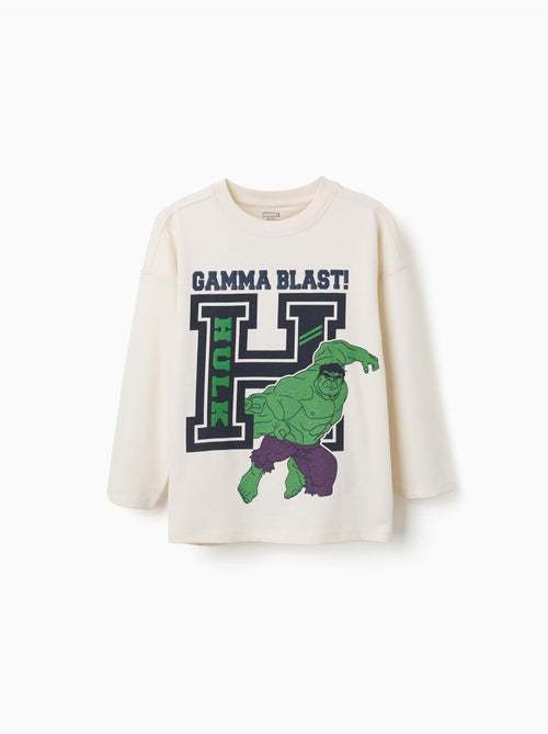 T-shirt en coton à manches longues et imprimé Hulk en relief - Kiabi T-shirt en coton à manches longues et imprimé Hulk en relief - Kiabi