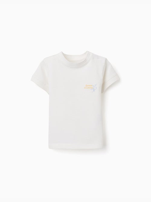 T-shirt en coton avec imprimé Aroma di Limone - Kiabi
