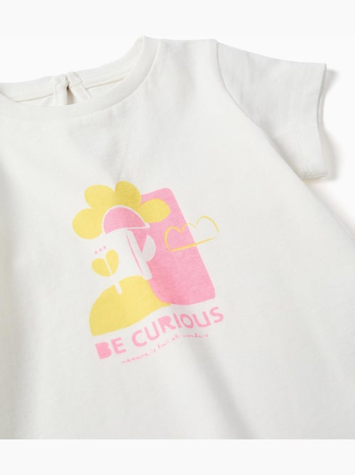 T-shirt en coton avec imprimé Be Curious - Kiabi