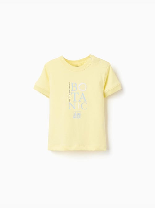 T-shirt en coton avec imprimé Botanic - Kiabi