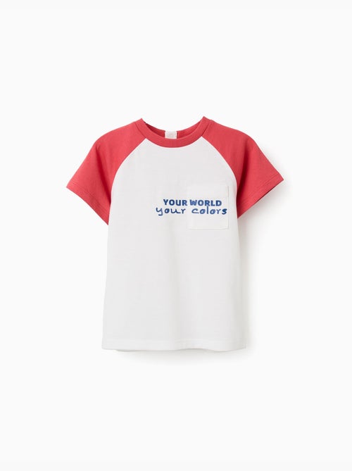 T-shirt en coton avec imprimé Colors - Kiabi