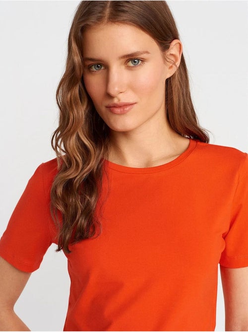 T-shirt Femme Crop Coupe Slim À Col Rond - Kiabi