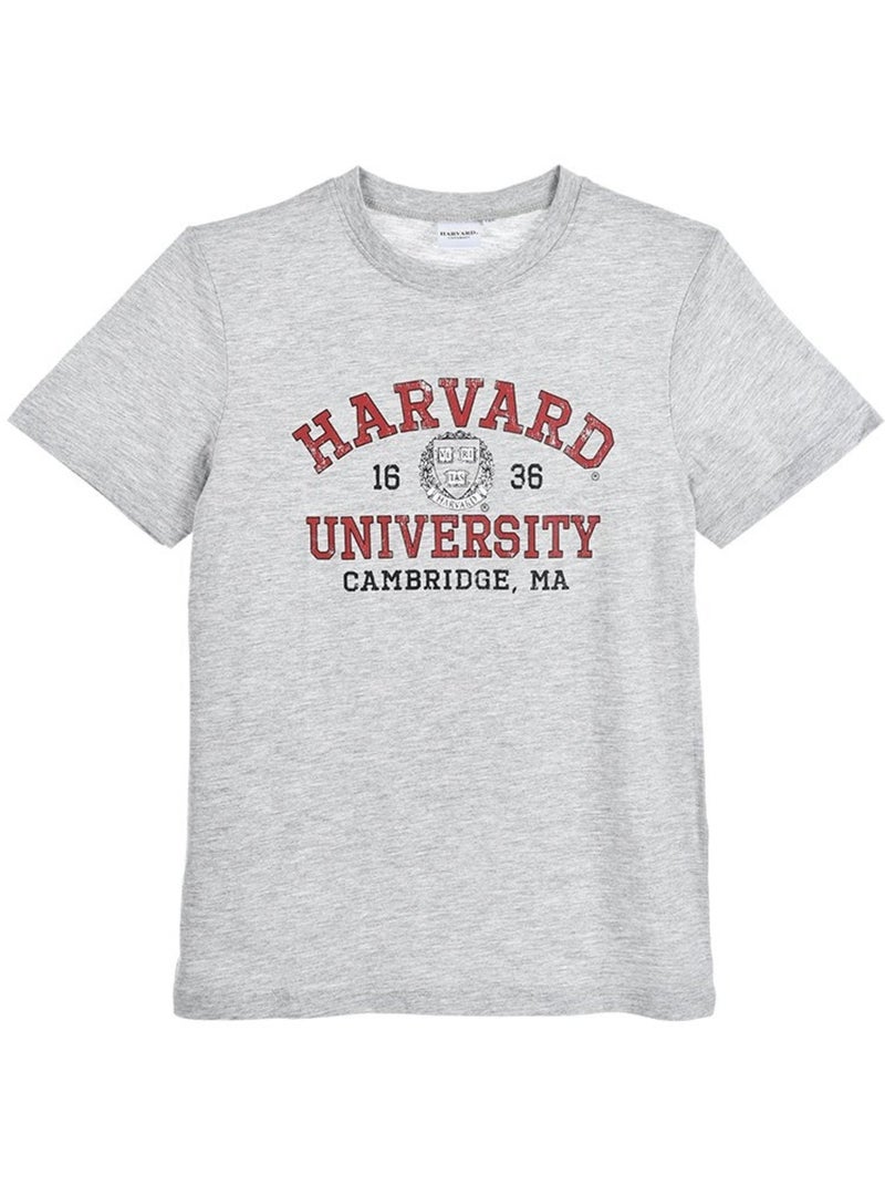 T-Shirt Harvard| Licence Officielle Gris - Kiabi