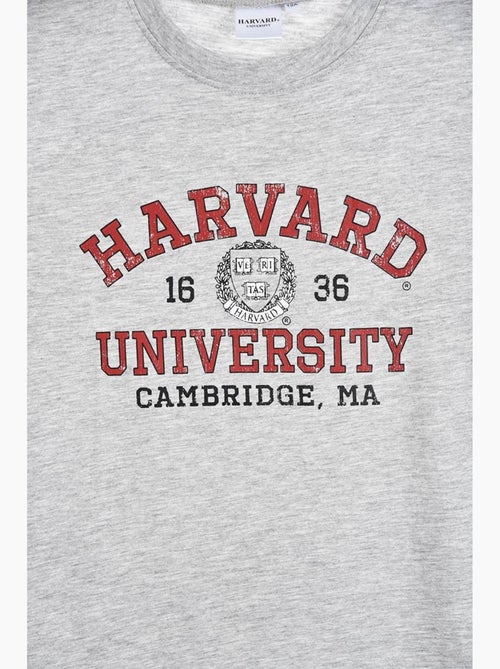 T-Shirt Harvard| Licence Officielle - Kiabi T-Shirt Harvard| Licence Officielle - Kiabi