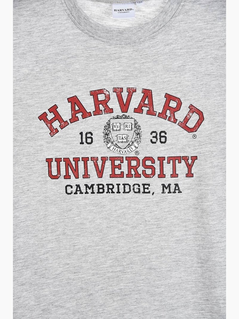 T-Shirt Harvard| Licence Officielle Gris - Kiabi