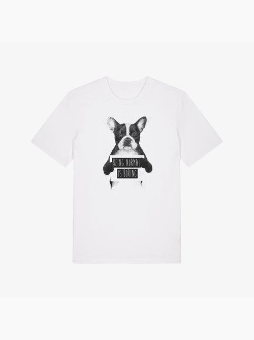 T-shirt Homme - BEING NORMAL IS BORING - Kiabi