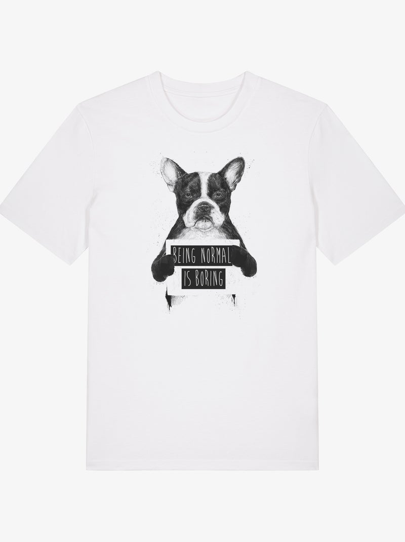 T-shirt Homme - BEING NORMAL IS BORING Blanc - Kiabi