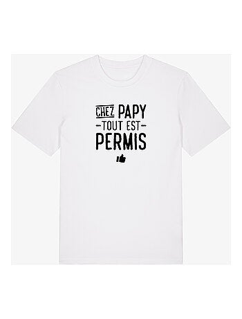 T-shirt Homme - CHEZ PAPY TOUT EST PERMIS