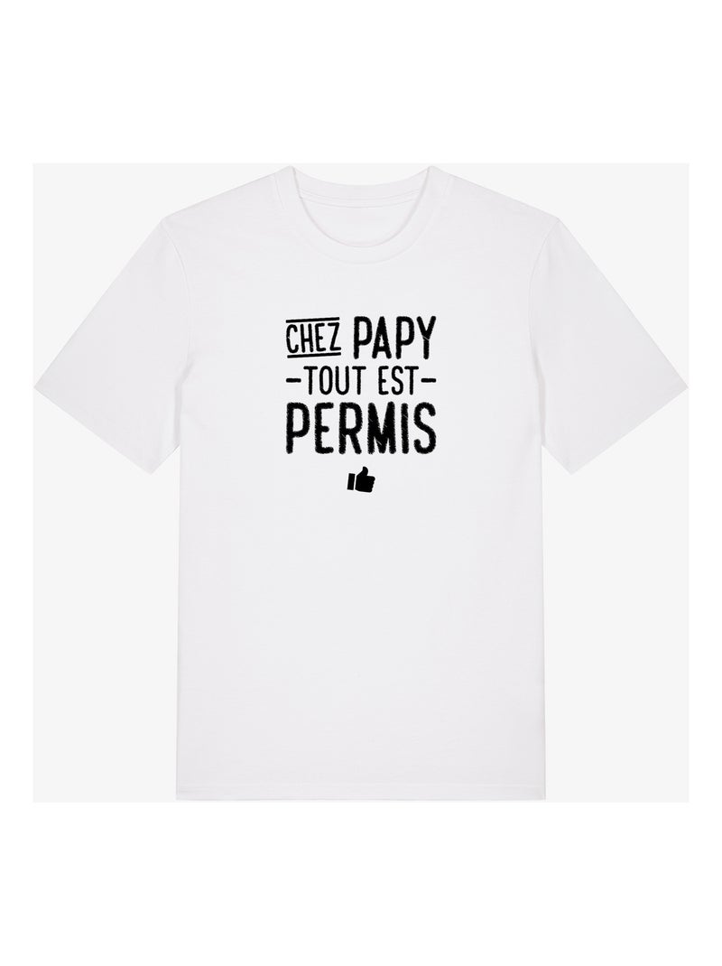 T-shirt Homme - CHEZ PAPY TOUT EST PERMIS Blanc - Kiabi