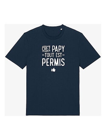 T-shirt Homme - CHEZ PAPY TOUT EST PERMIS