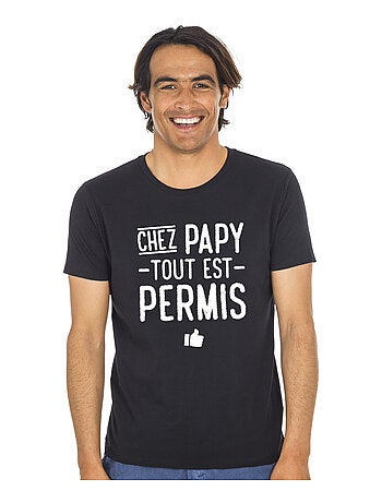 T-shirt Homme - CHEZ PAPY TOUT EST PERMIS