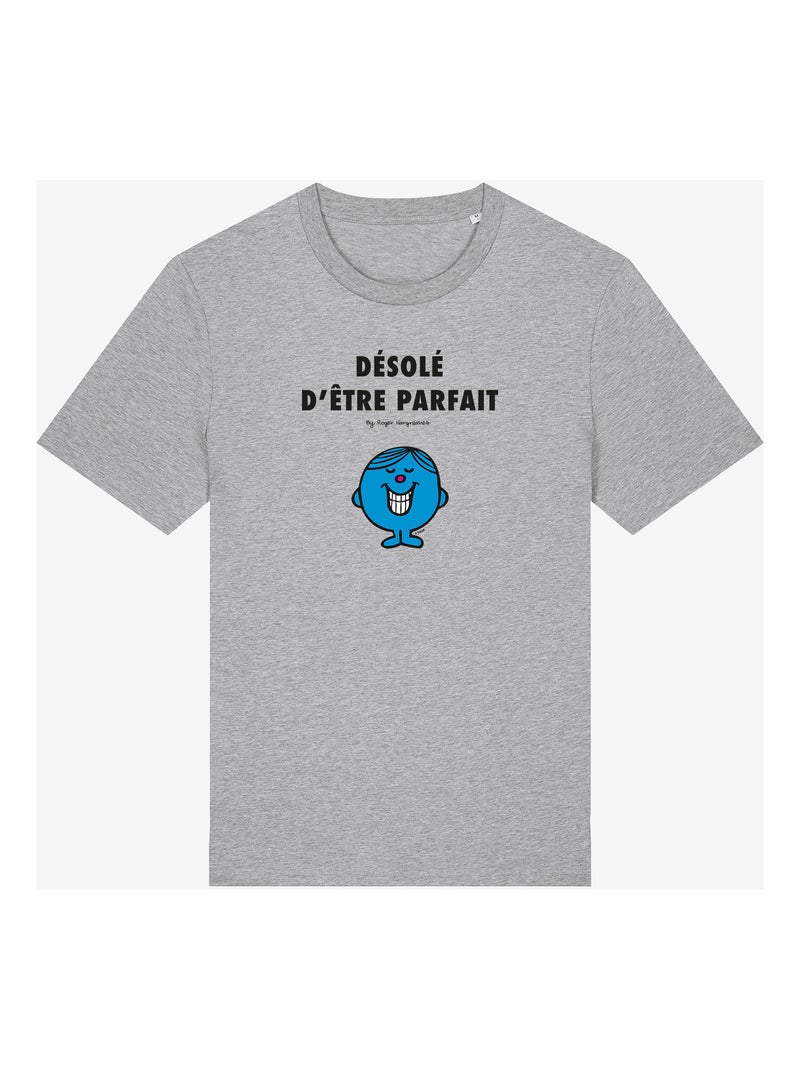 T-shirt Homme - DÉSOLÉ D'ÊTRE PARFAIT 2 Gris chiné - Kiabi