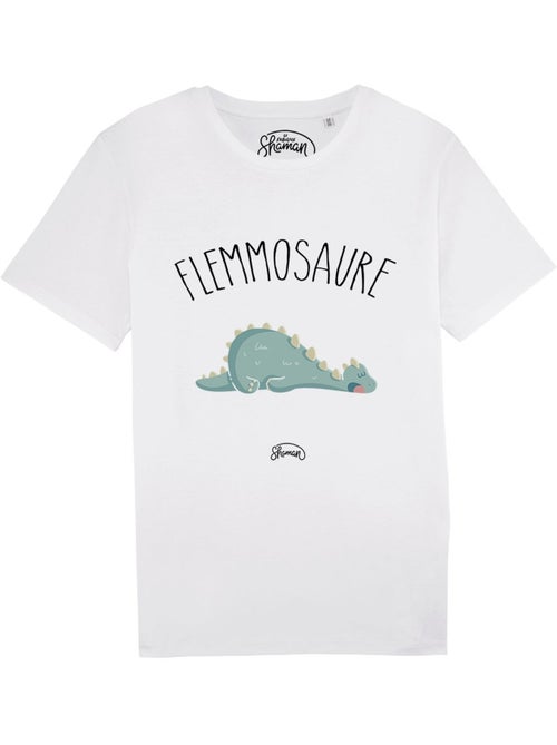 T-shirt Homme - FLEMMOSAURE - Kiabi