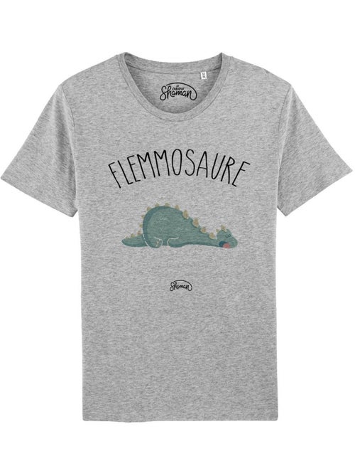T-shirt Homme - FLEMMOSAURE - Kiabi