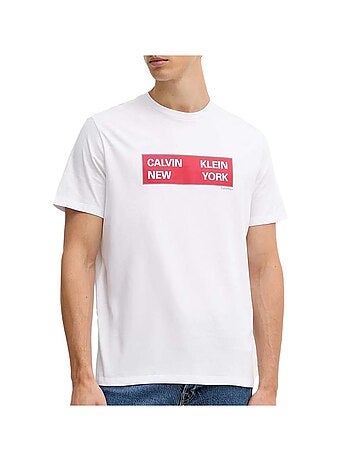 T-Shirt Homme Calvin Klein Jeans Ckny LV04RD816G