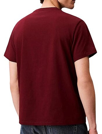 T-Shirt Homme Calvin Klein Jeans Easys