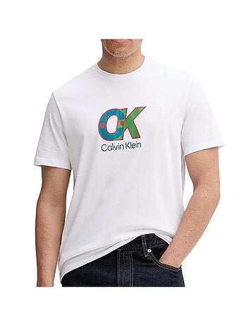 T-Shirt Homme Calvin Klein Jeans LV04RD821G