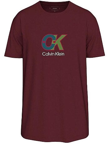 T-Shirt Homme Calvin Klein Jeans