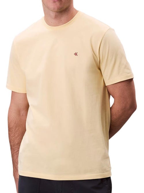 T-shirt Homme Clavin Klein - Kiabi T-shirt Homme Clavin Klein - Kiabi
