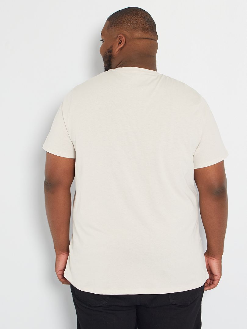 T-shirt imprimé gris pâle/japan - Kiabi