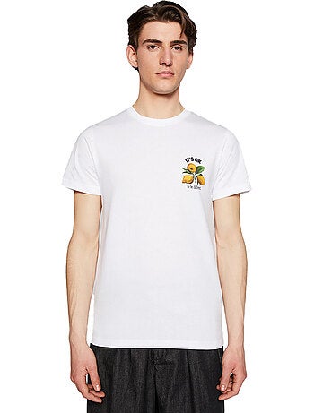 T-shirt it's ok - mister tee