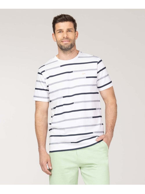 T-shirt manches courtes - terre de marins - Kiabi